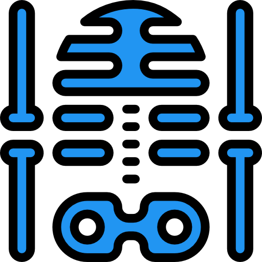 X ray icon
