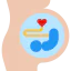Pregnant icon 64x64