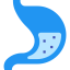 Stomach icon 64x64