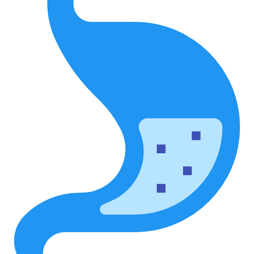 Stomach icon