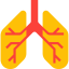 Lungs icon 64x64