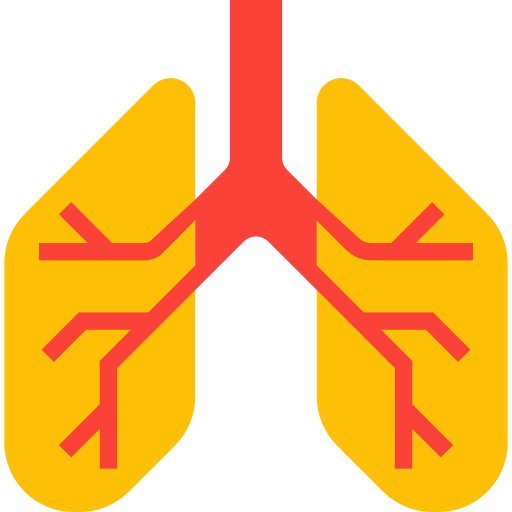 Lungs icon