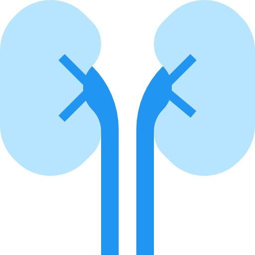 Kidneys icon