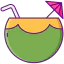 Coconut icon 64x64