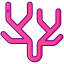 Coral icon 64x64