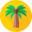 Palm tree icon 64x64