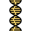 Dna structure Ikona 64x64