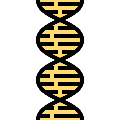Dna structure icon