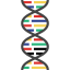 Dna structure icon 64x64