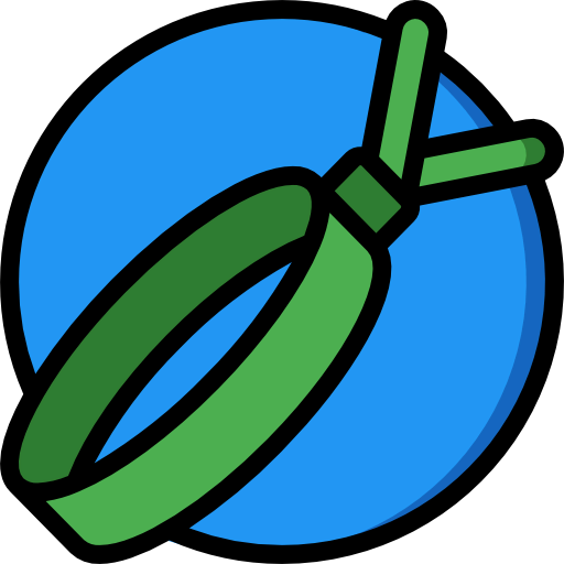 Bracelet icon