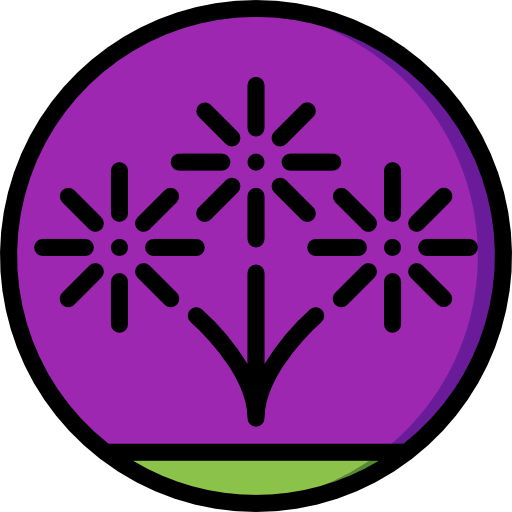 Fireworks icon