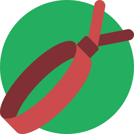 Bracelet icon