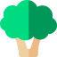 Broccoli icon 64x64