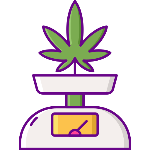 Scale icon