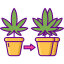 Clone icon 64x64