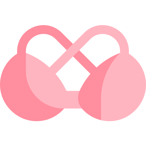 Bra icon