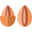 Nuts icon 64x64