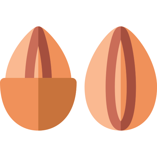 Nuts icon