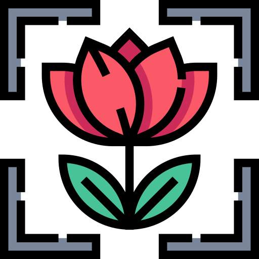 Macro icon