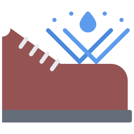 Shoe icon