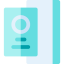 Passport icon 64x64