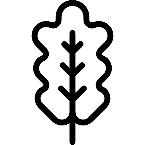Oak leaf icon
