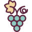Grapes icon 64x64