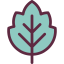 Leaf icon 64x64