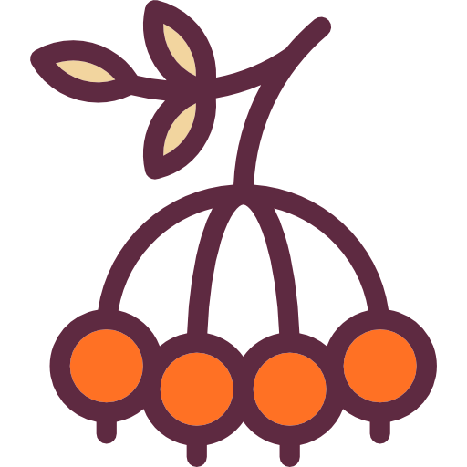 Berry icon