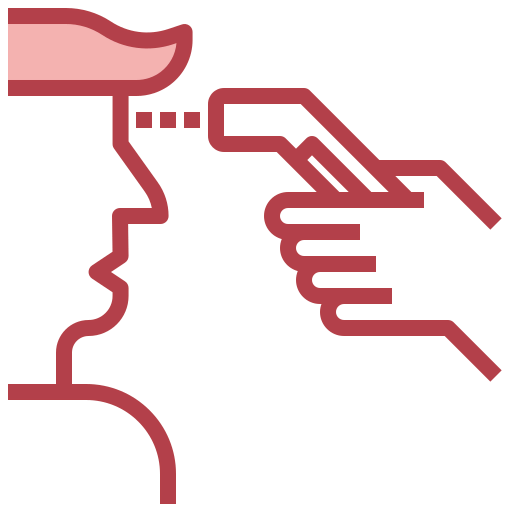 Temperature icon