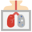 Infectious disease icon 64x64