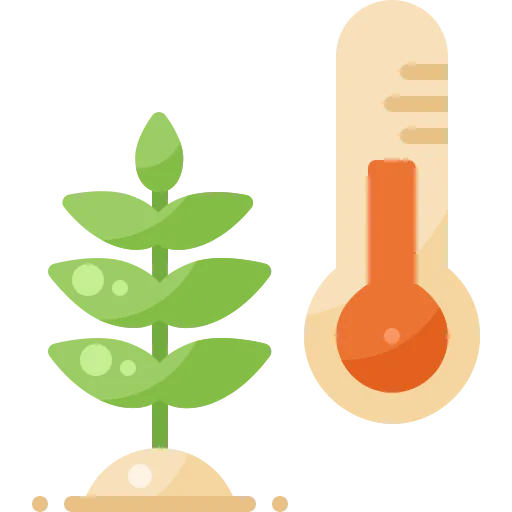 Temperature icon