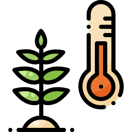 Temperature icon