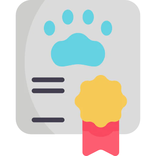 Certificate icon