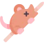 Rat icon 64x64