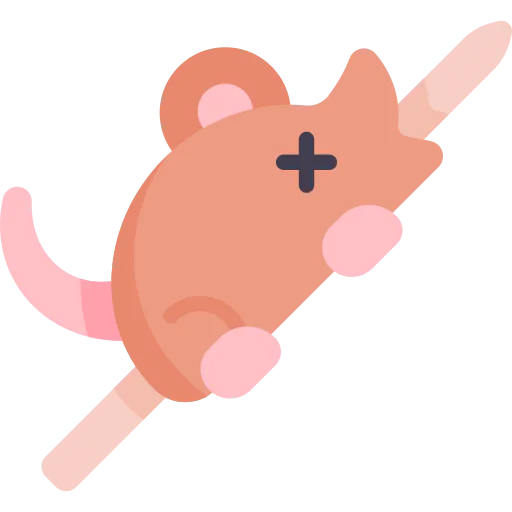 Rat icon