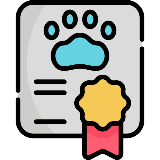 Certificate icon