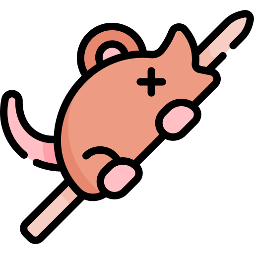 Rat icon