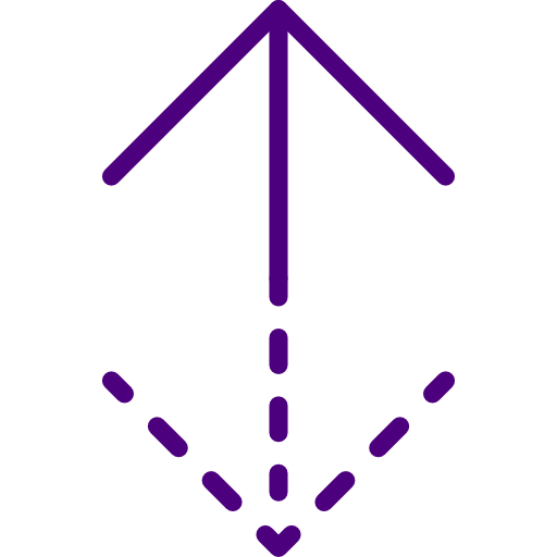 Double arrow icon