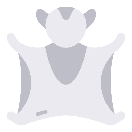 Flying squirrel icon