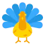 Turkey icon 64x64