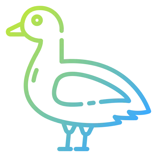 Duck icon