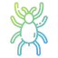 Tarantula icon 64x64