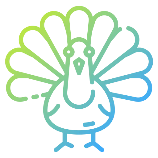 Turkey icon