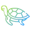 Turtle icon 64x64