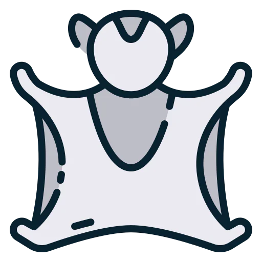 Flying squirrel icon