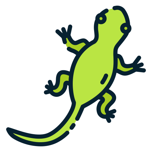 Lizard icon