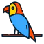 Parrot icon 64x64
