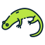 Salamander icon 64x64
