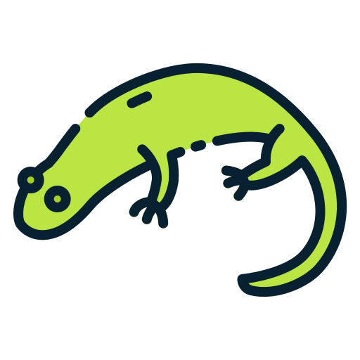 Salamander icon